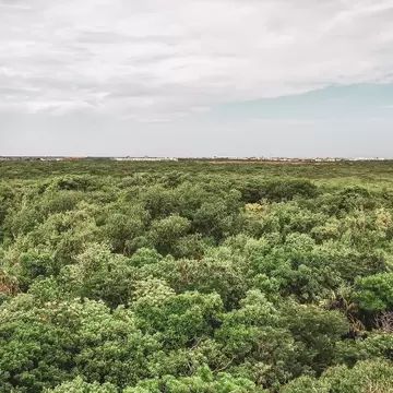 National Park of Tulum, Mexico.