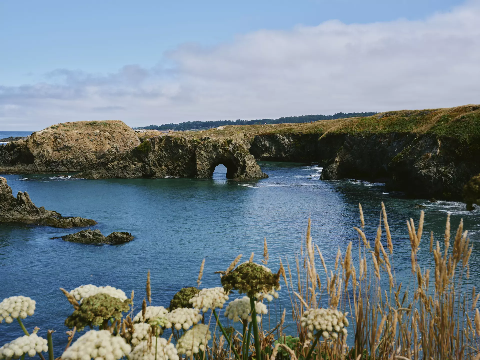 Mendocino Coast. Benjamin Heath for Lonely Planet