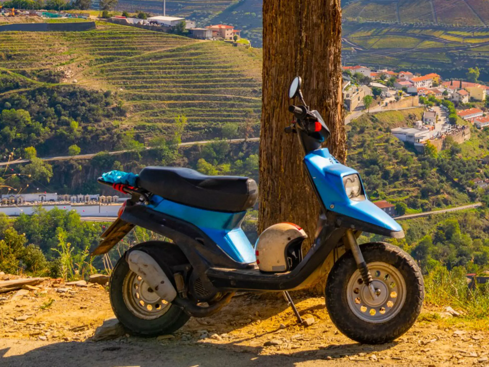 A motorcycle parked near a tree at a viewpoint above a river valley lined with vineyards.