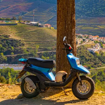A motorcycle parked near a tree at a viewpoint above a river valley lined with vineyards.