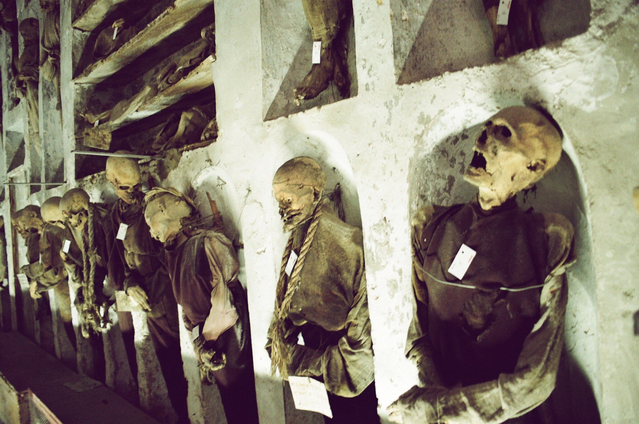 [UNVERIFIED CONTENT] If you go to Sicily you can't miss the capuchin catacombs of Palermo, something that confirms the ghoulish side of this city. A cemetery that contains 8000 mummies, lined upon walls, lying or standing, skeletons, and perfectly...