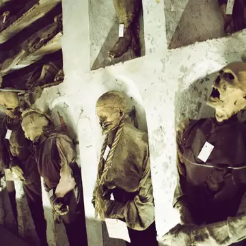 [UNVERIFIED CONTENT] If you go to Sicily you can't miss the capuchin catacombs of Palermo, something that confirms the ghoulish side of this city. A cemetery that contains 8000 mummies, lined upon walls, lying or standing, skeletons, and perfectly...