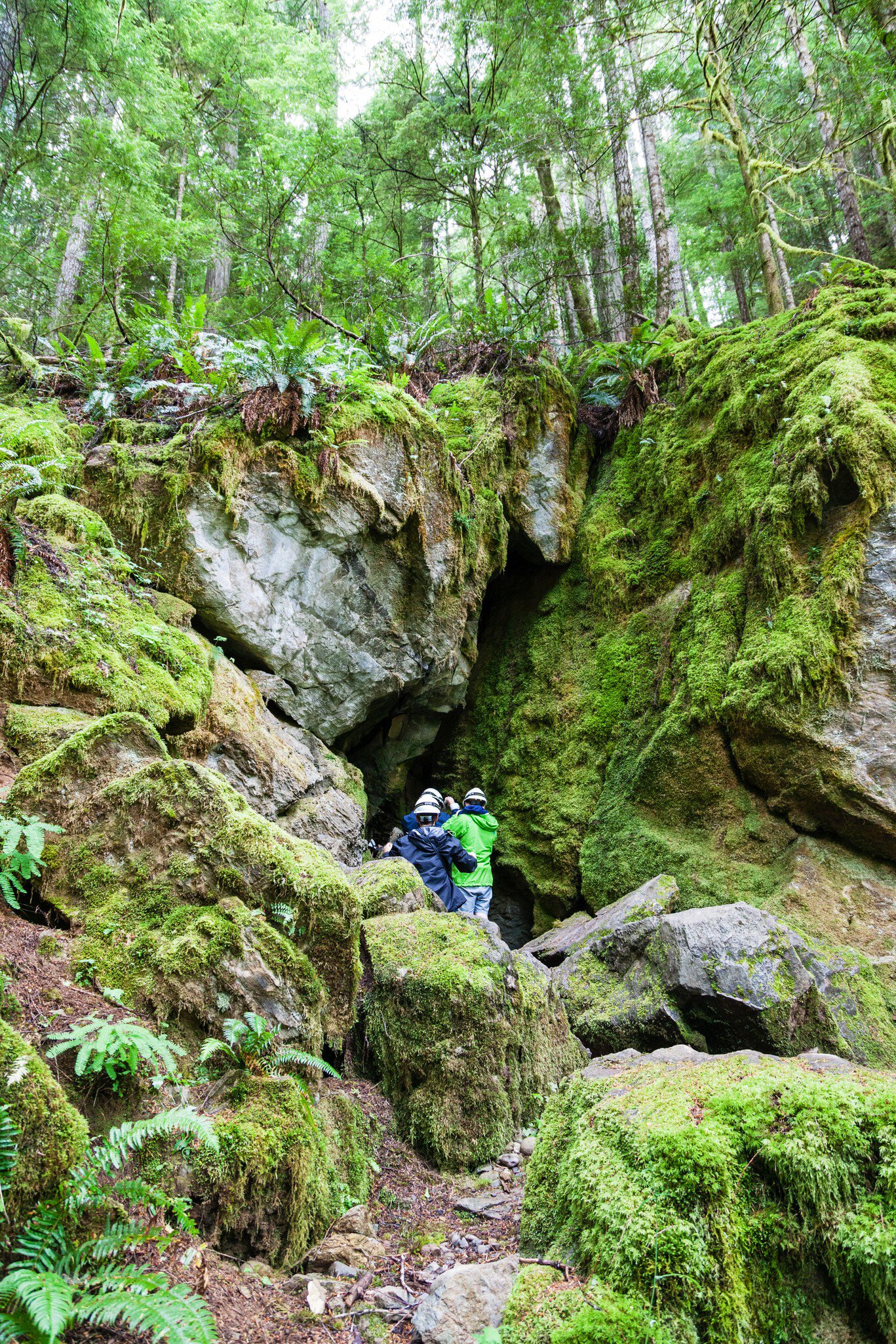 QUALICUM BEACH, CANADA - JULY 7, 2016: A group of visitors enter a cave opening at Horne Lake Caves Provincial Park on Vancouver Island's Qualicum Beach., License Type: media, Download Time: 2026-05-14T16:08:47.000Z, User: LP_NZhan, Editorial: true, purchase_order: 65050 - Digital Destinations and Articles, job: App Content, client: Lonely Planet App, other: Nadine Zhan