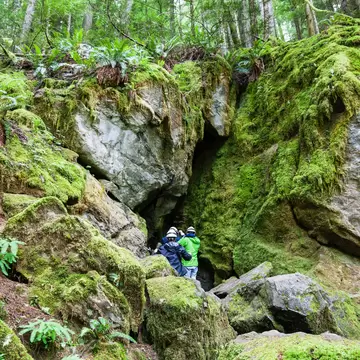 QUALICUM BEACH, CANADA - JULY 7, 2016: A group of visitors enter a cave opening at Horne Lake Caves Provincial Park on Vancouver Island's Qualicum Beach., License Type: media, Download Time: 2026-05-14T16:08:47.000Z, User: LP_NZhan, Editorial: true, purchase_order: 65050 - Digital Destinations and Articles, job: App Content, client: Lonely Planet App, other: Nadine Zhan