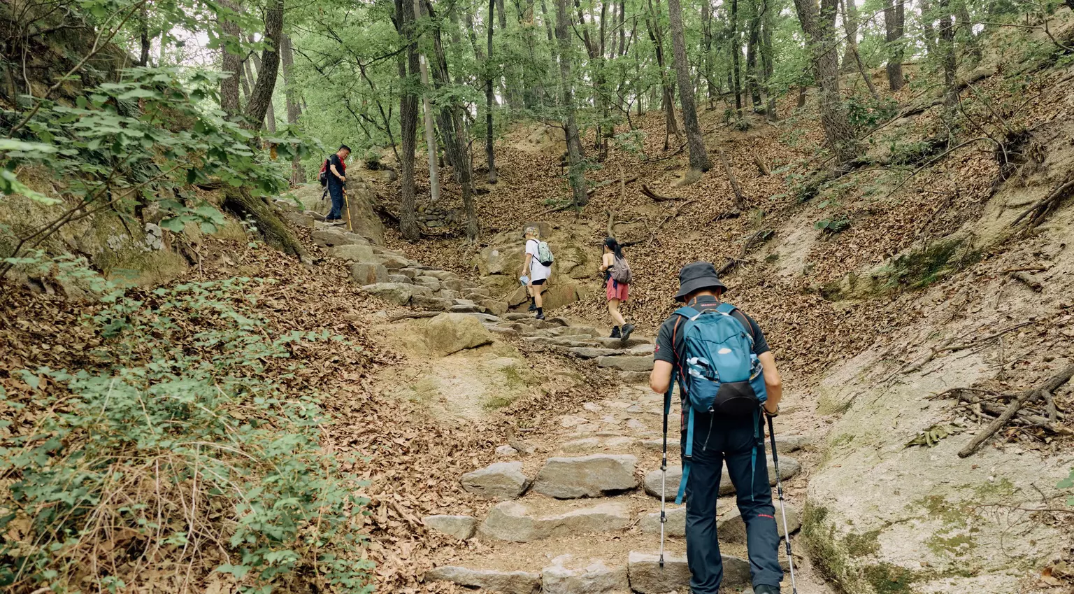 Dobong-gu, Seoul, Korea. July 2026. Hike in Bukhansen National Park.