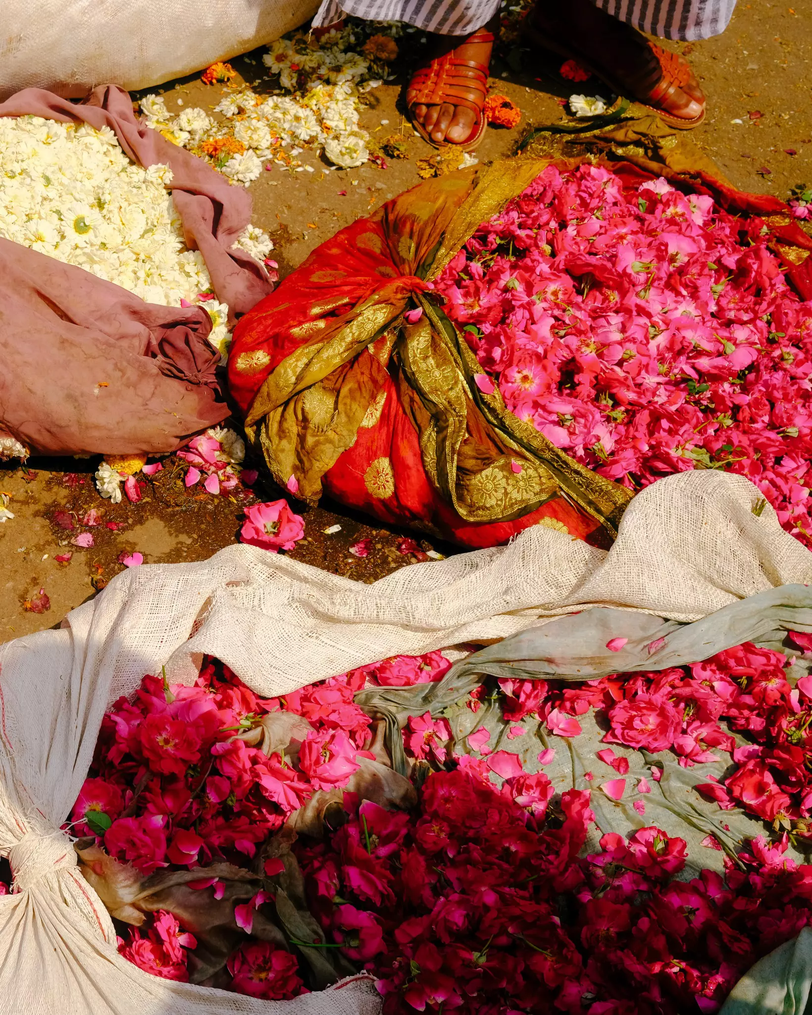 Bundles of flowers for sale at the Jaipur flower market. Jaipur, India. 2025.