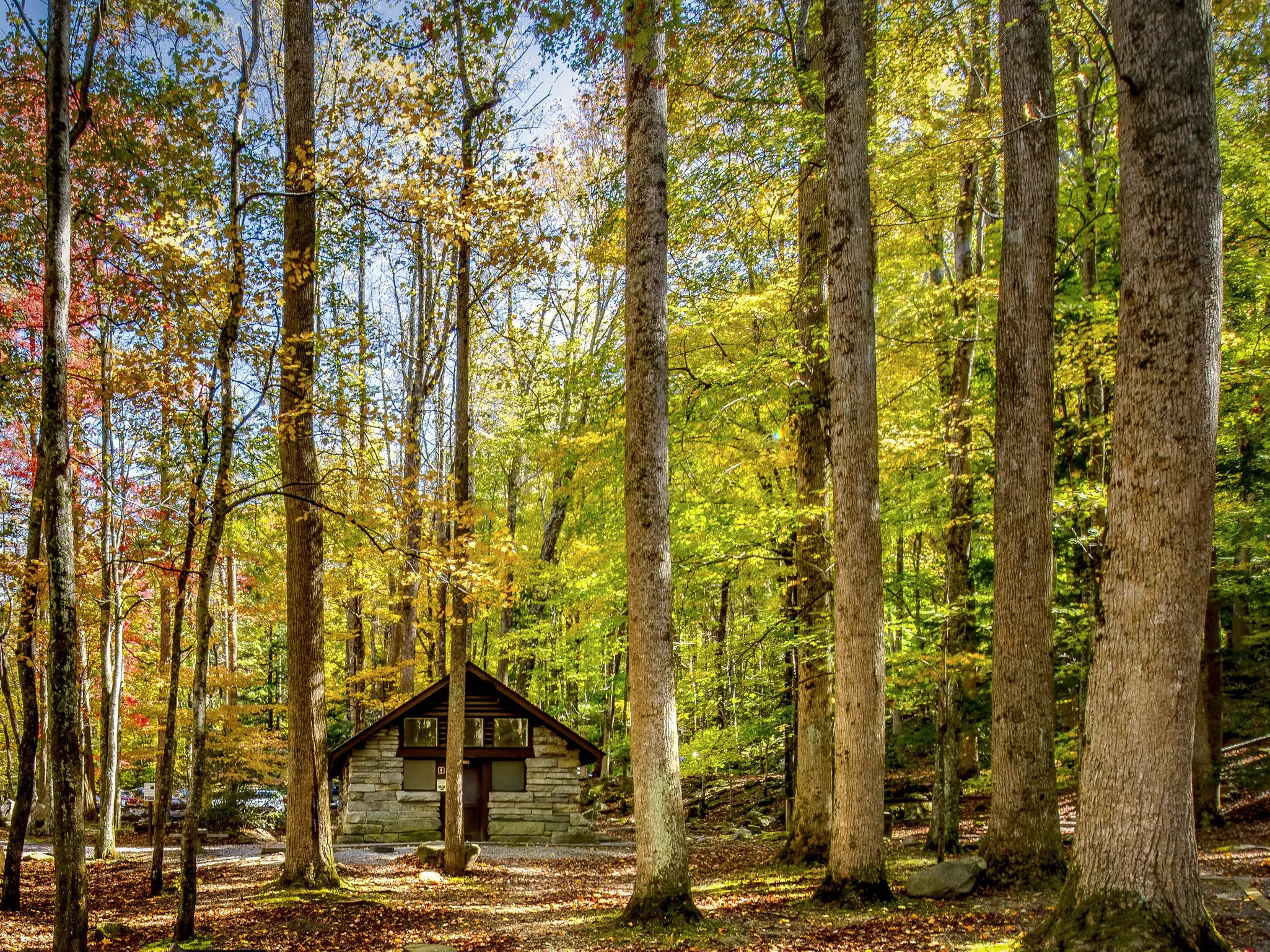 Picnic area in Great Smoky Mountains National Park