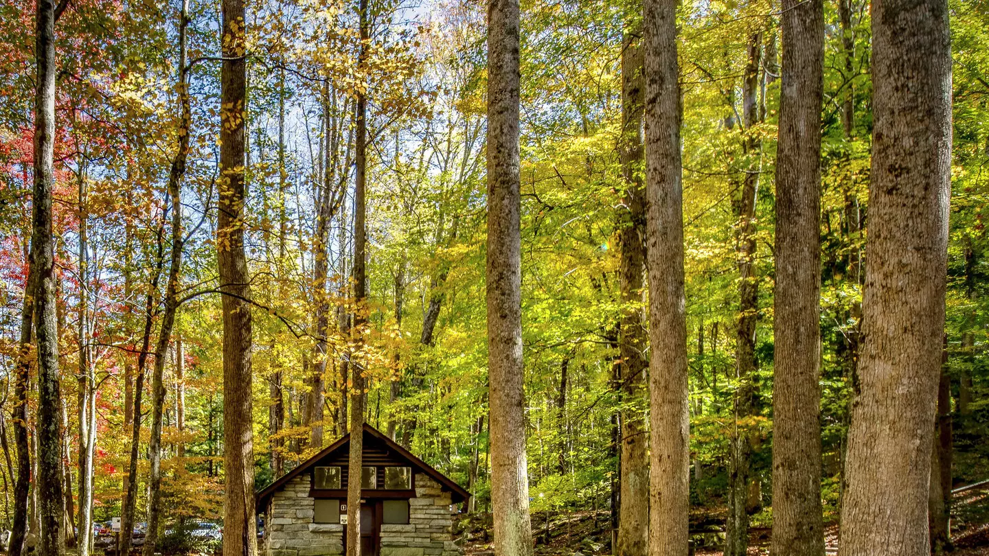 Tour the Great Smoky Mountains National Park in autumn for fall colors © Dan Reynolds Photography / Getty Images
