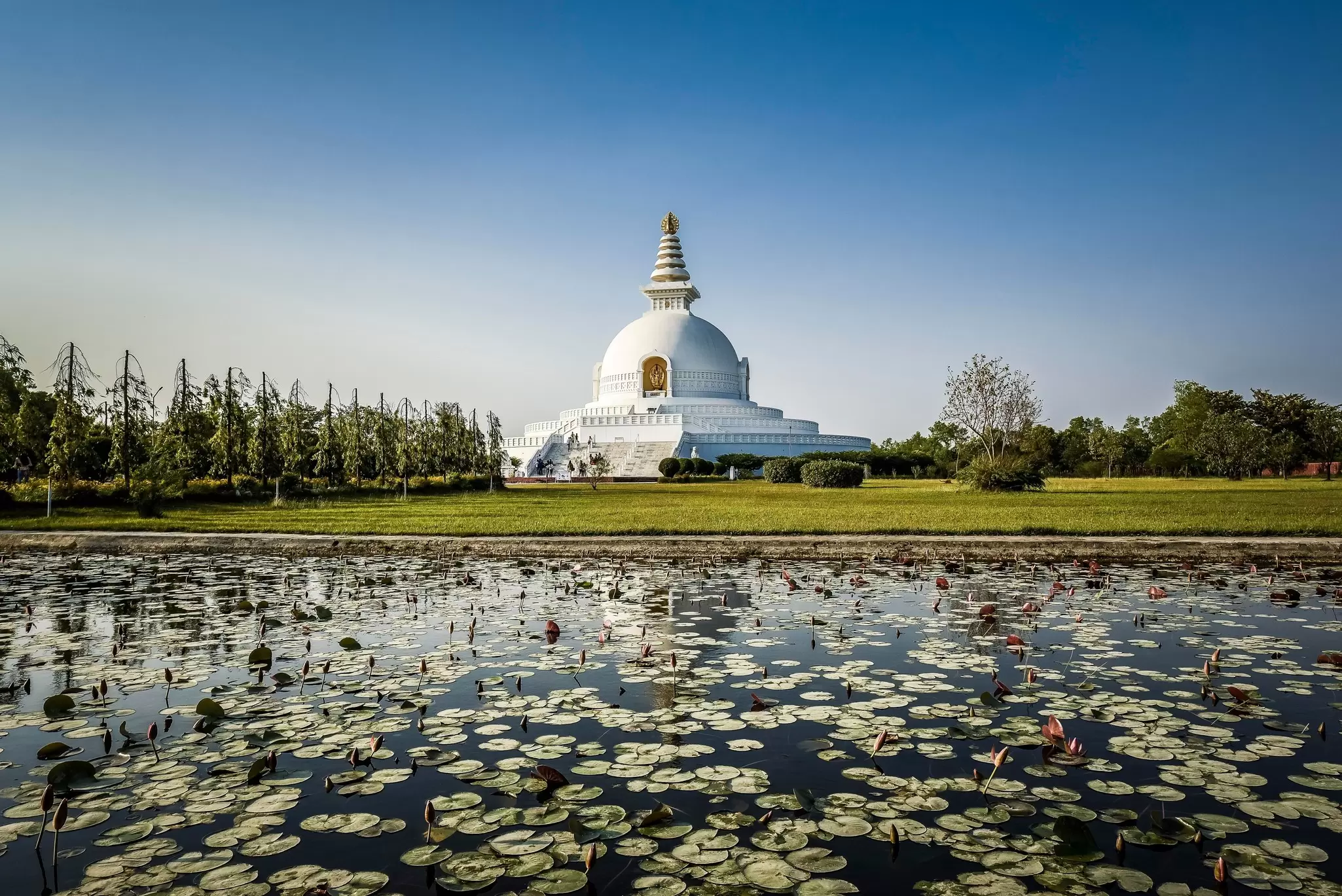 The World Peace Pagoda in Lumbini, Nepal. imageBROKER.com/Shutterstock