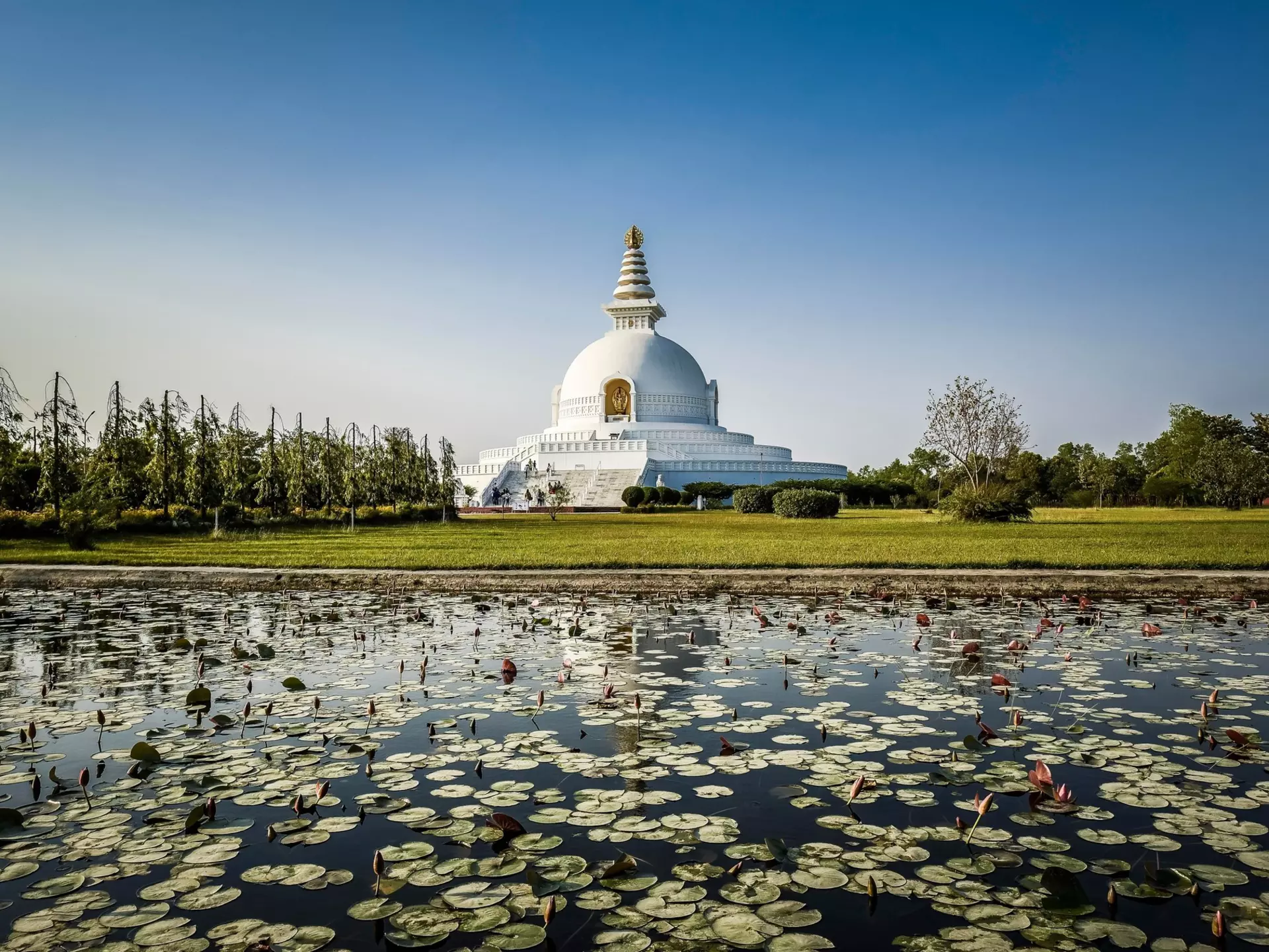 The World Peace Pagoda in Lumbini, Nepal. imageBROKER.com/Shutterstock