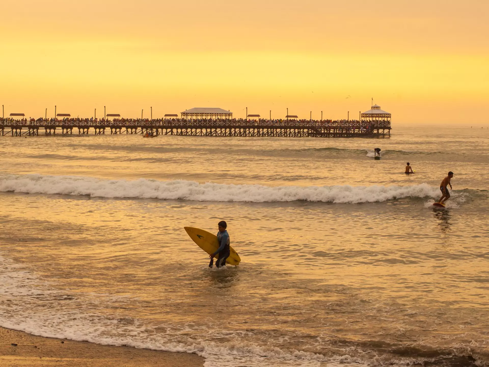Surfers ride waves during sunset at Huanchaco in Peru.
Travel, Sunlight, Surf, South America, Trujillo, Wave - Water, Pier, Fishing, Summer, Real People, Color Image, Tranquility, Huanchaco, Back Lit, Equipment, Surfboard, Eco Tourism, Trujillo - Peru,...