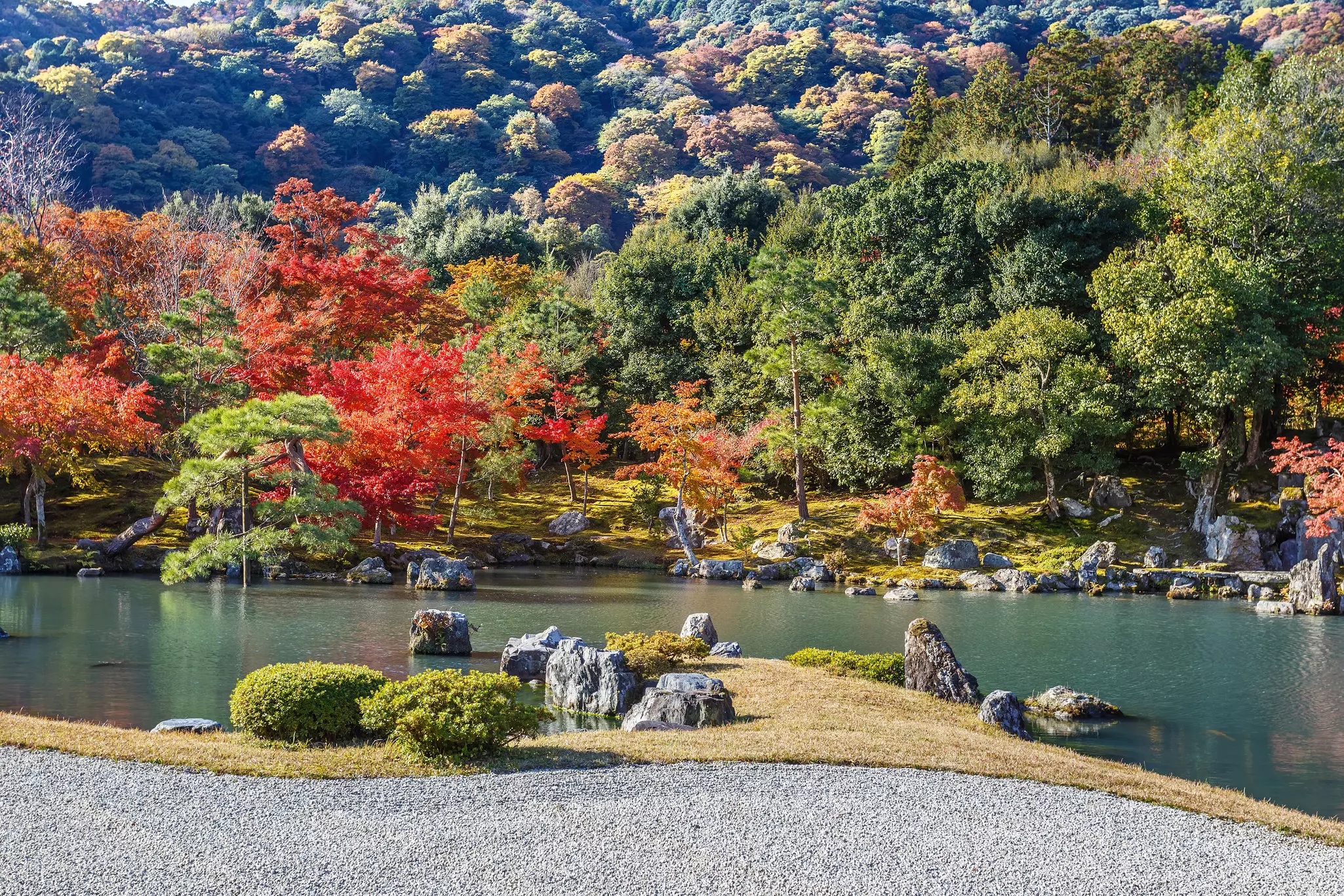 A wide shot of a temple garden with a pond a trees bearing fall foliage
