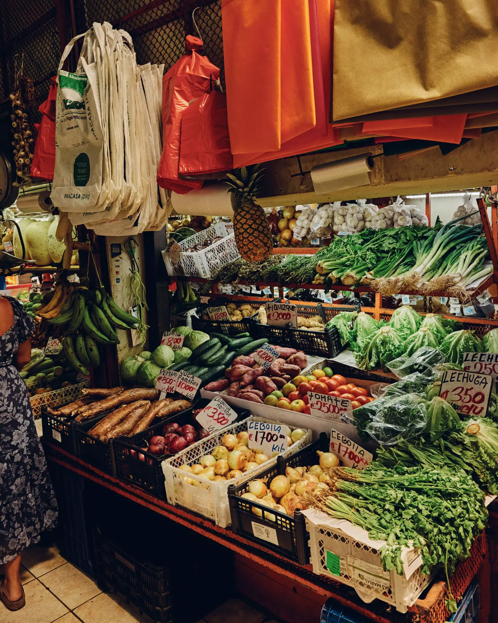 Fresh vegetables for sale in the Mercado Central, San José, Costa Rica. 