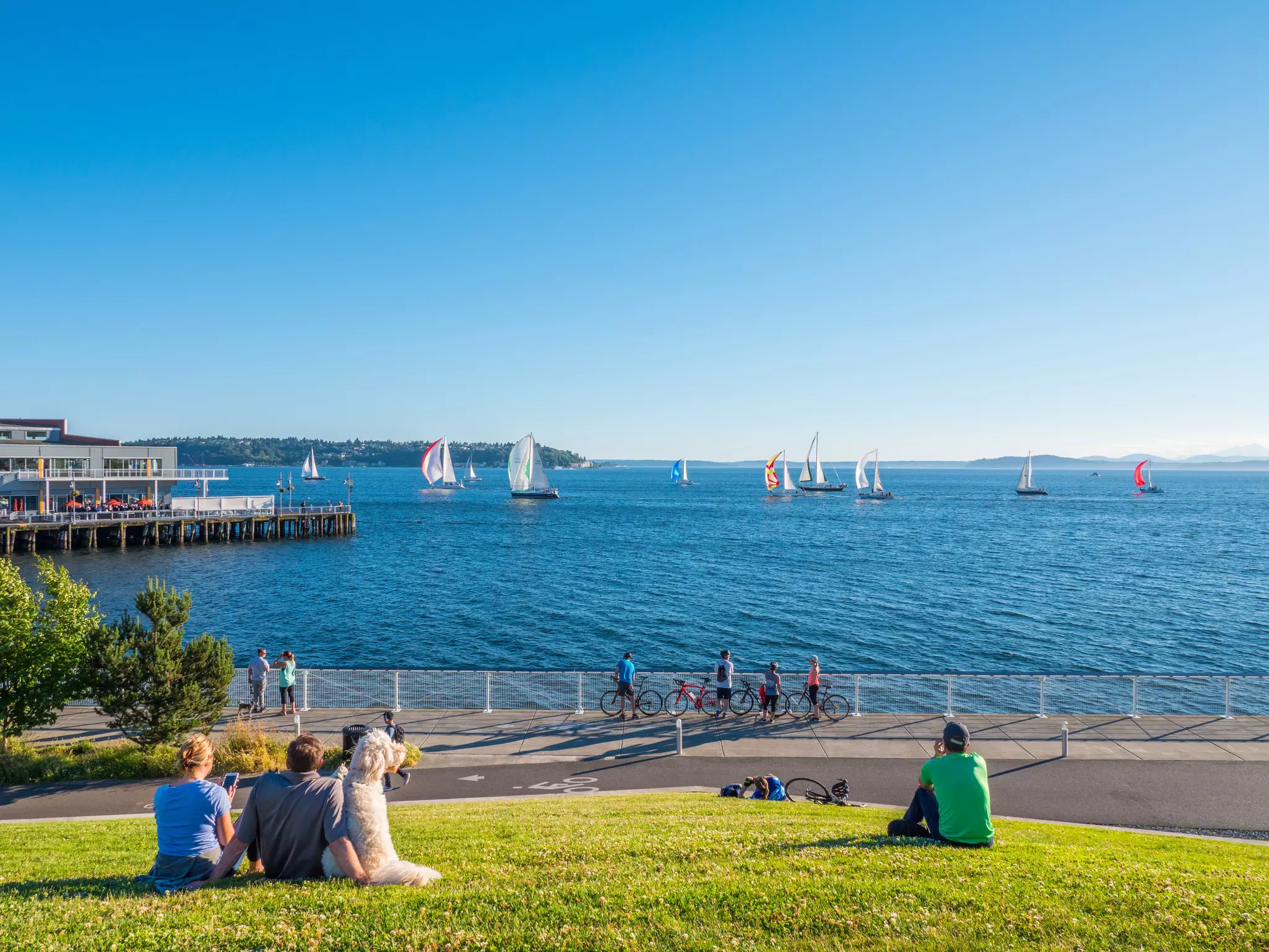 Olympic Sculpture Park