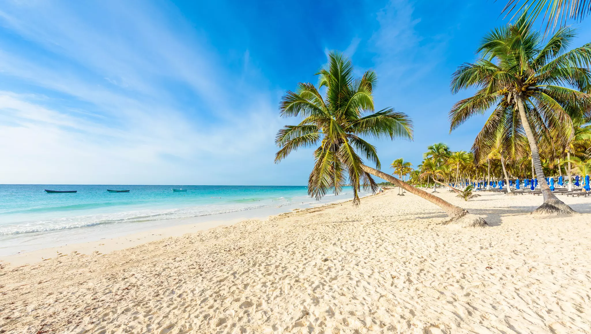 Palm trees sway next to a white-sand beach in a tropical location.
