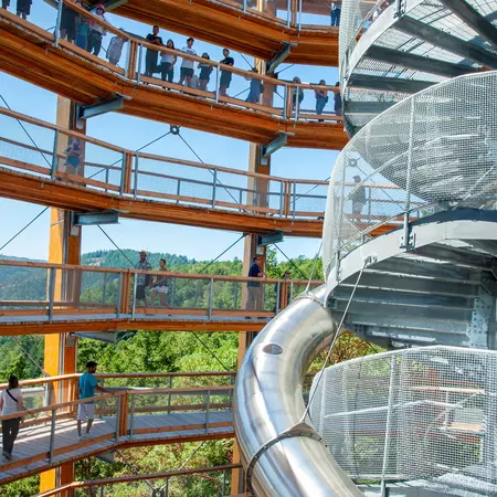 Walkways wrap around a structure above a forest.