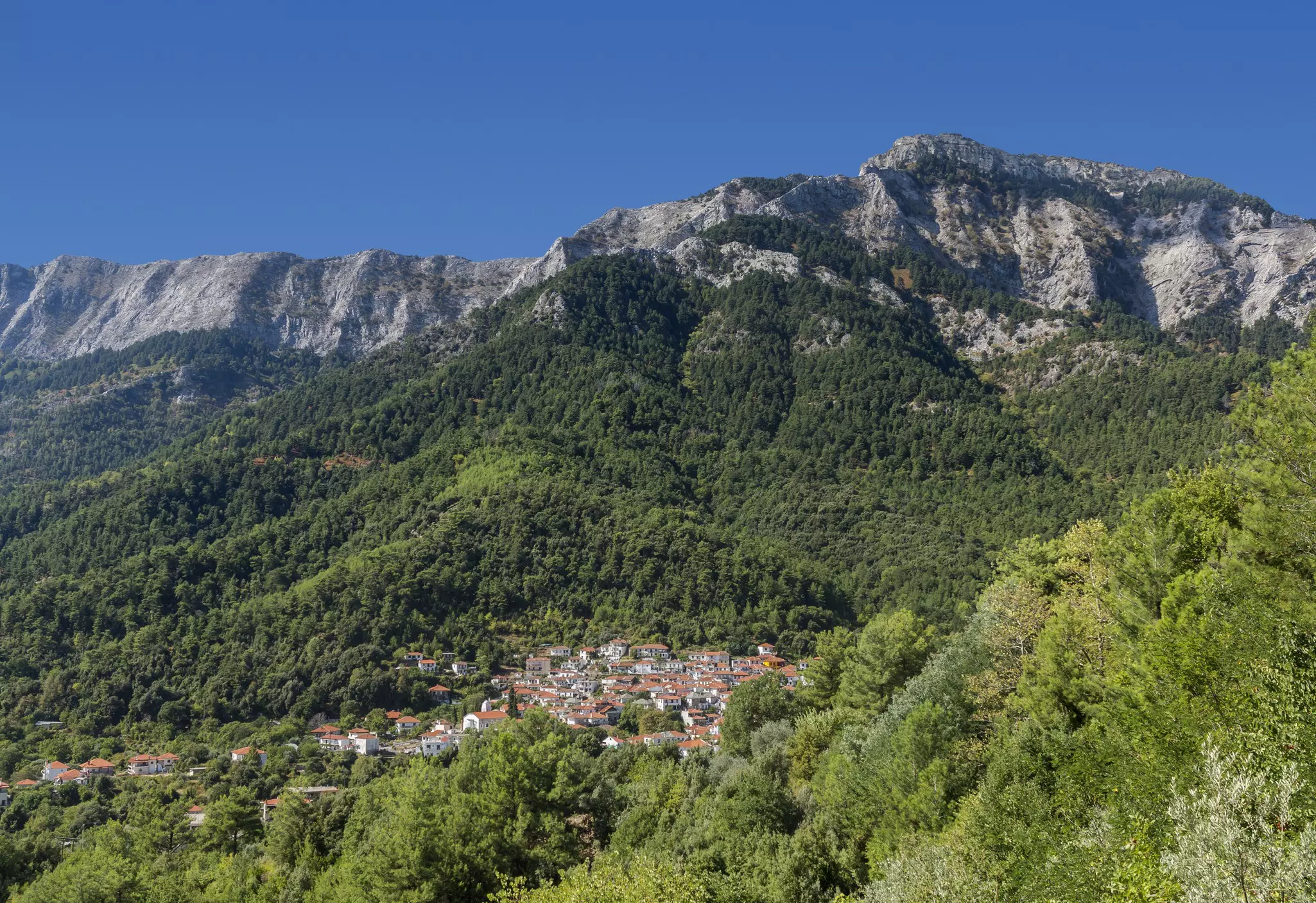Pine forests and olive trees descend from the rocky landscape to the water’s edge on the island of Thasos © Izzet Keribar / Getty Images