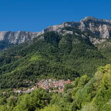 Pine forests and olive trees descend from the rocky landscape to the water’s edge on the island of Thasos © Izzet Keribar / Getty Images