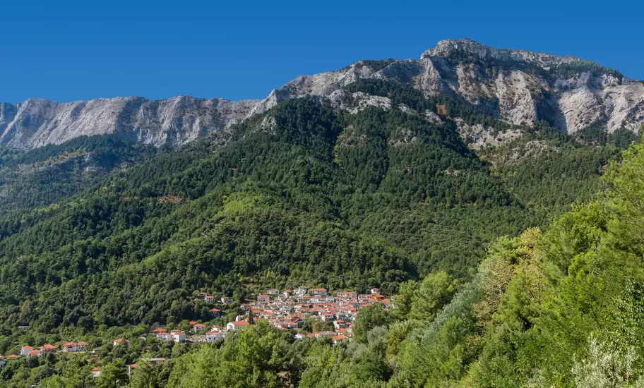 Pine forests and olive trees descend from the rocky landscape to the water’s edge on the island of Thasos © Izzet Keribar / Getty Images