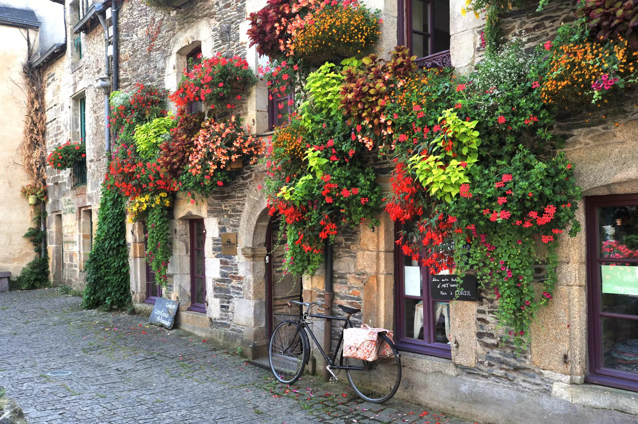 A bike is parked against a wall with flowering vines in a medieval town in France.