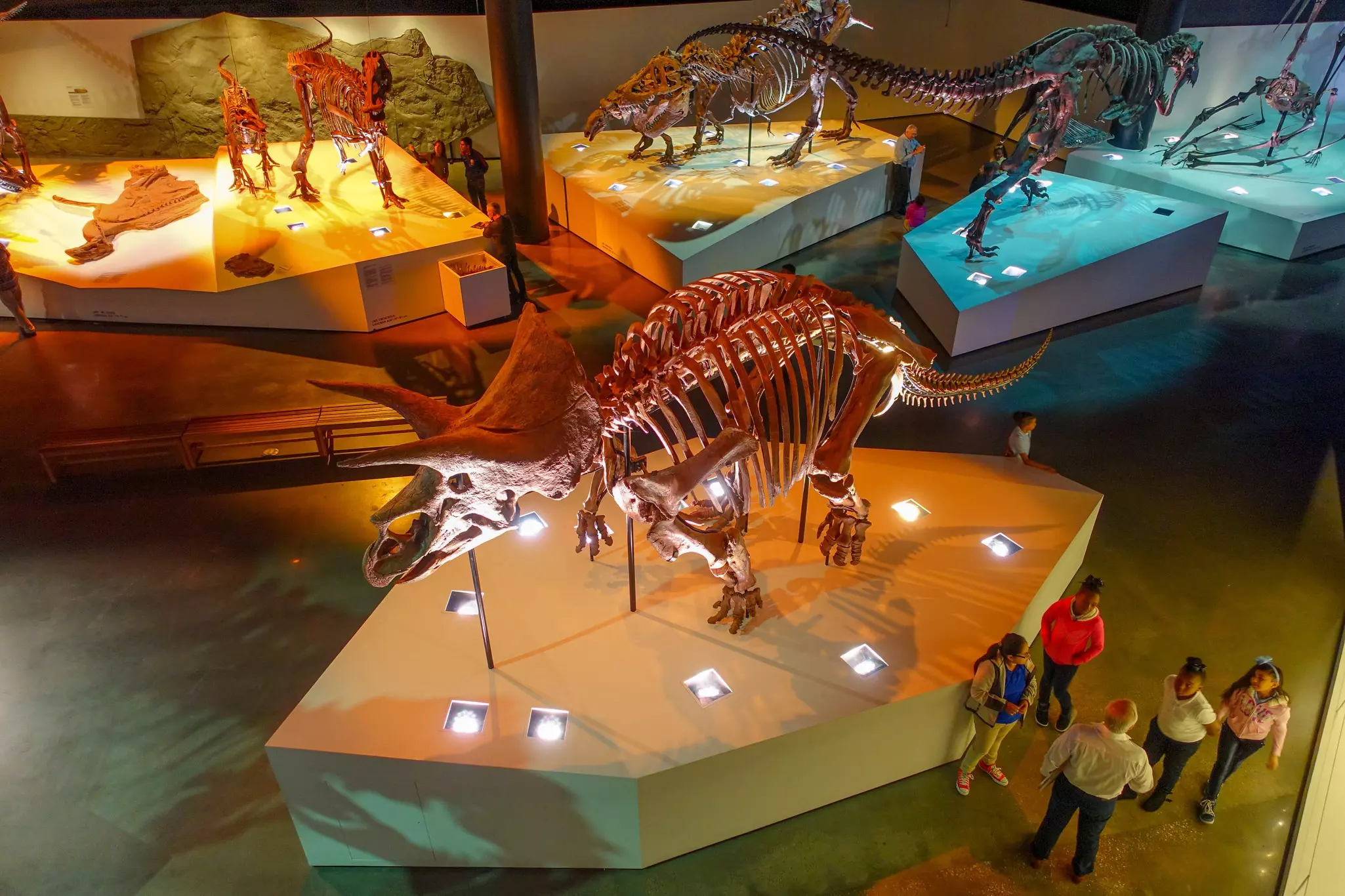 People wander through a museum gallery with displays of dinosaur skeletons all around them.