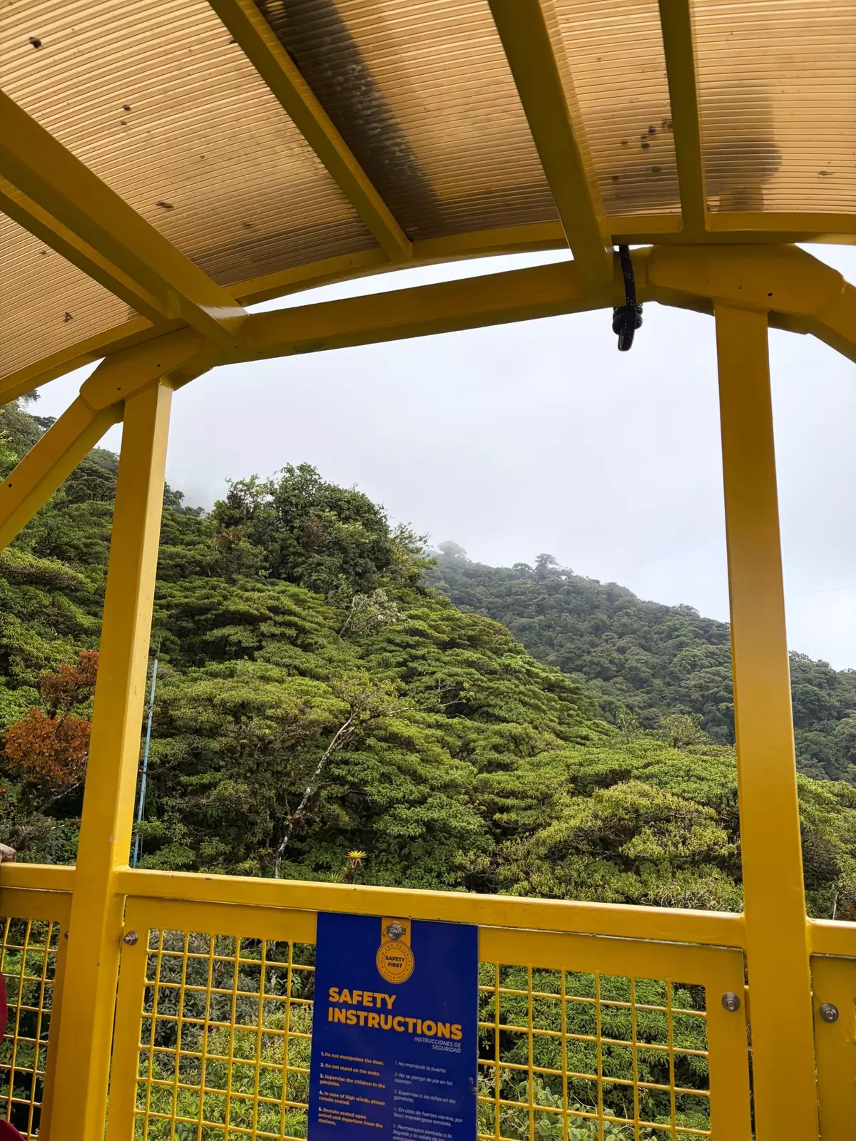 View from inside a yellow tram car of the treetops, with clouds settling over them