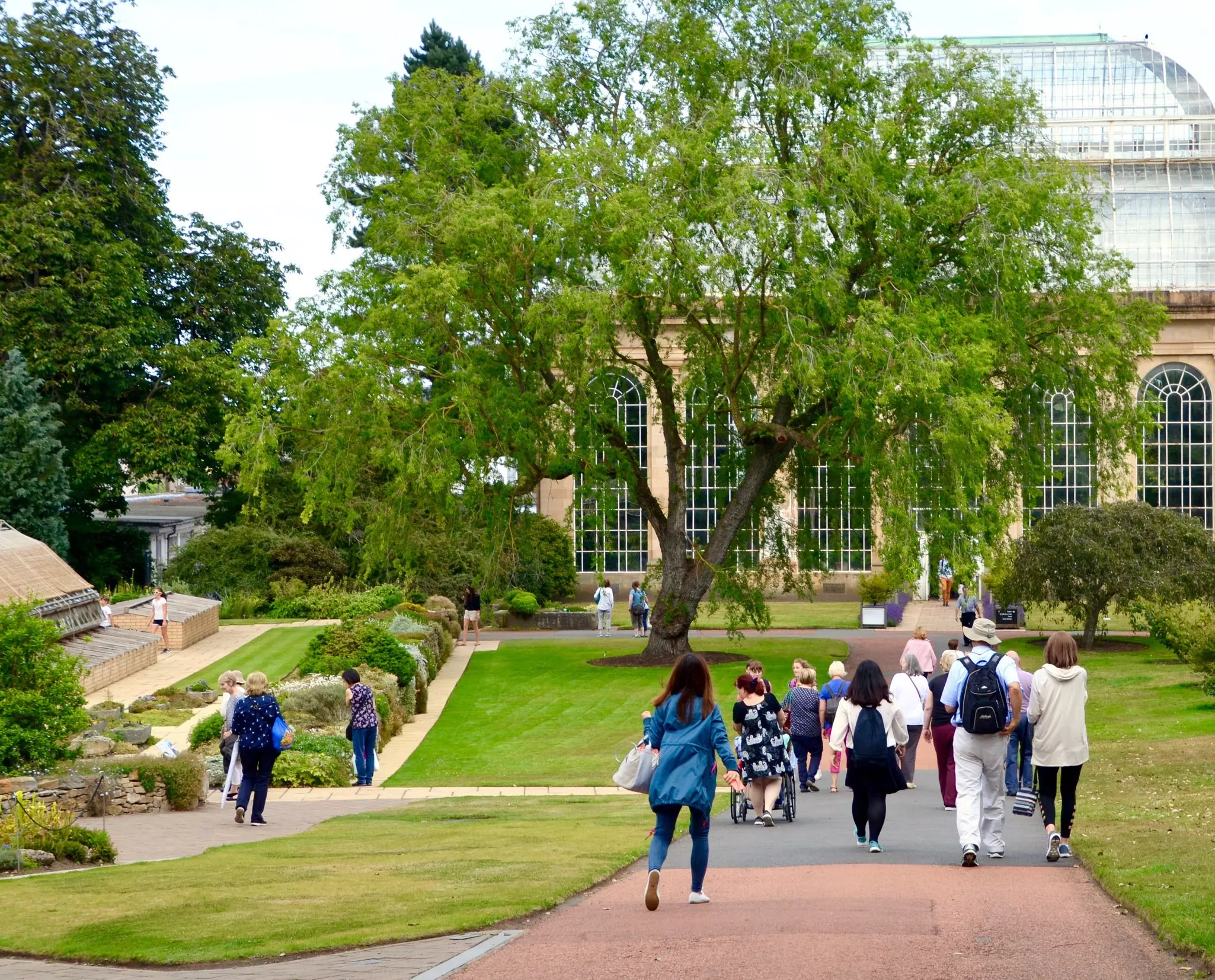 July 2018: Visitors walking towards the Victorian Palm House in the Botanic Gardens in Edinburgh.
1145244842
architecture, biodiversity, botanical garden, city, city centre, cityscape, edinburgh scotland, editorial, garden, green, healthy lifestyle, july, landmark, nature, outdoor, outdoors, palm house, park, people, people walking outdoors, plant research, public, rgbe, royal botanic gardens, scottish attraction, summer, sunny, tourism, tourists in park, travel, trees