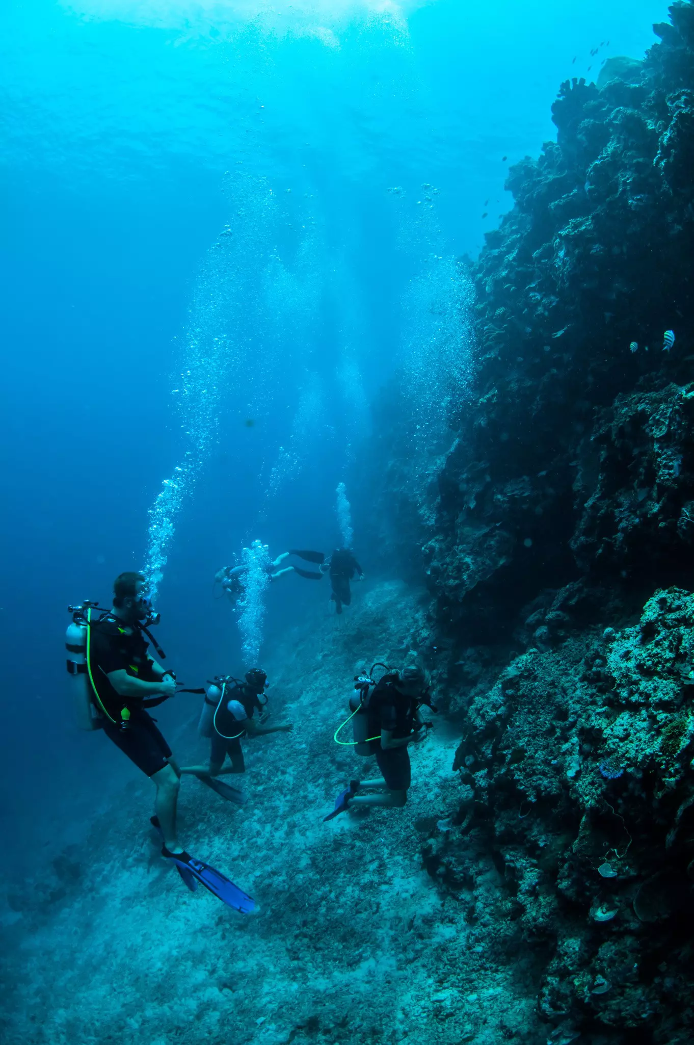 Divers descending to depth beside a coral wall