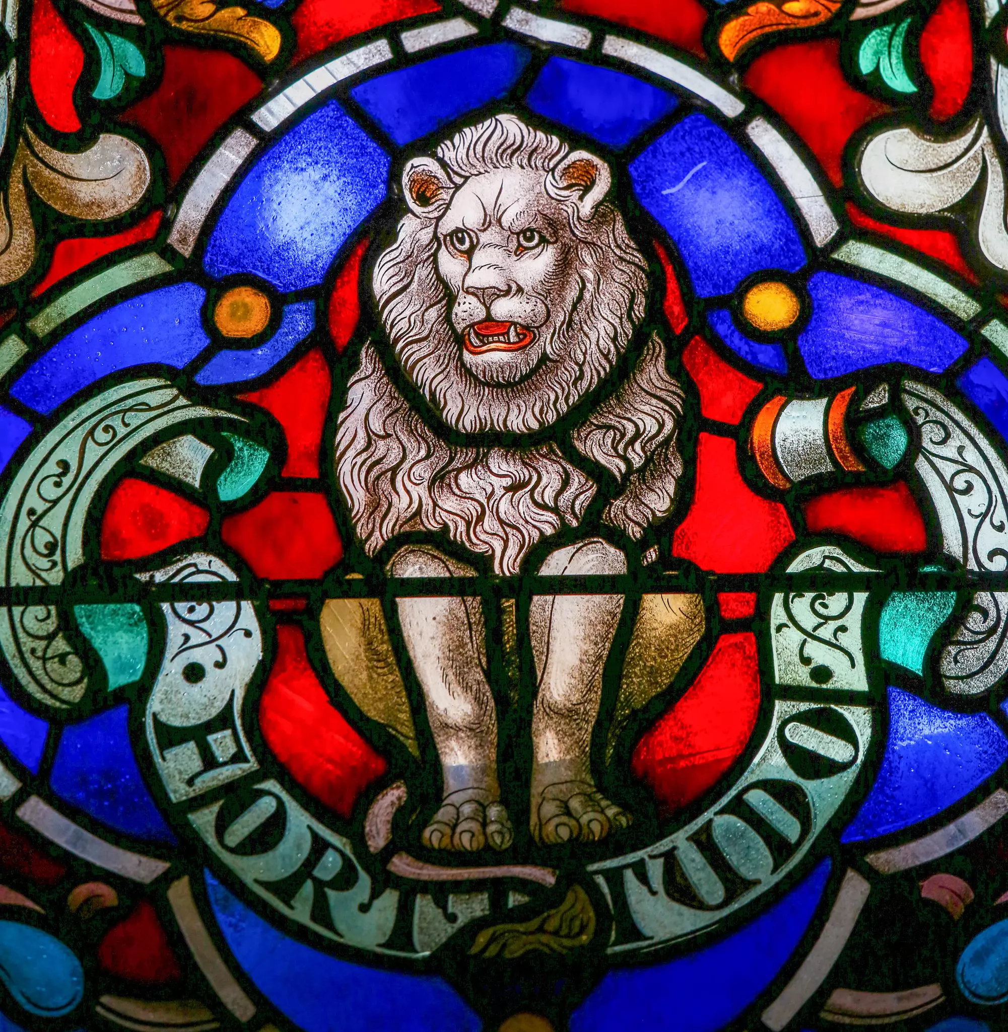 The stained glass of the cathedral