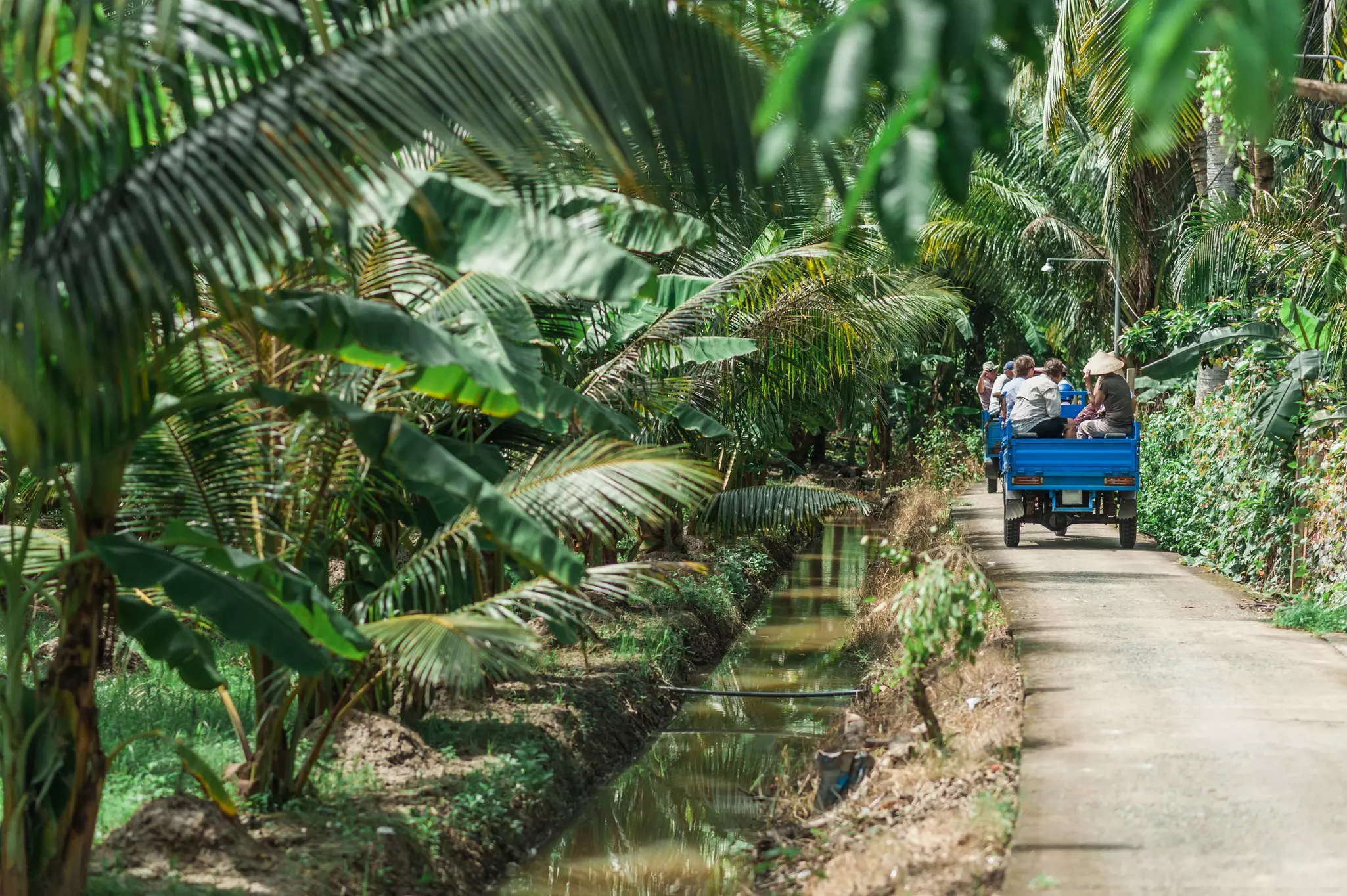 Group of tourists ridding in traditional Vietnamese motorbike carts used for transportation on the small roads along the canals of the Mekong River Delta. Lush green tropical canopy overhanging a paved path.
