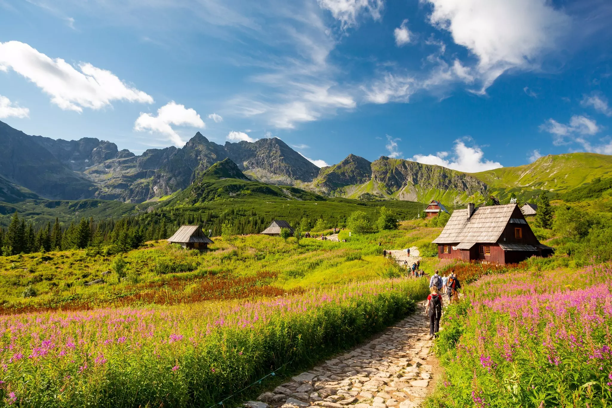 huts in front of a green mountain range