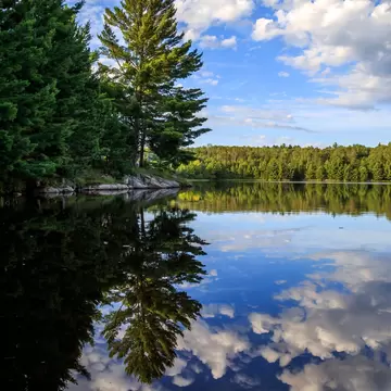 Clouds and blue sky are reflected in a calm lake with a forested shore.