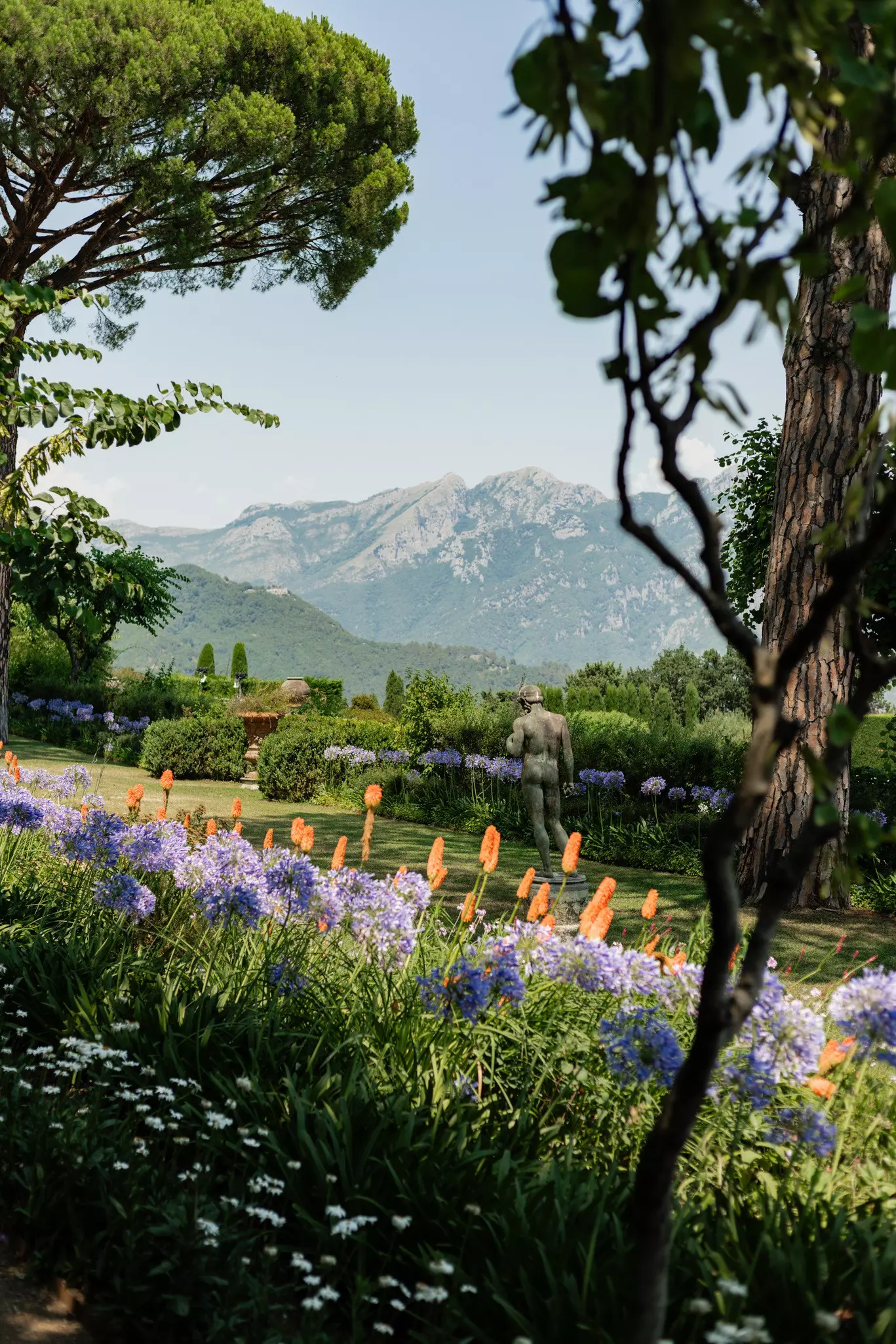A beautiful hilltop garden with flowers in bloom and greenery on the surrounding mountainside.
