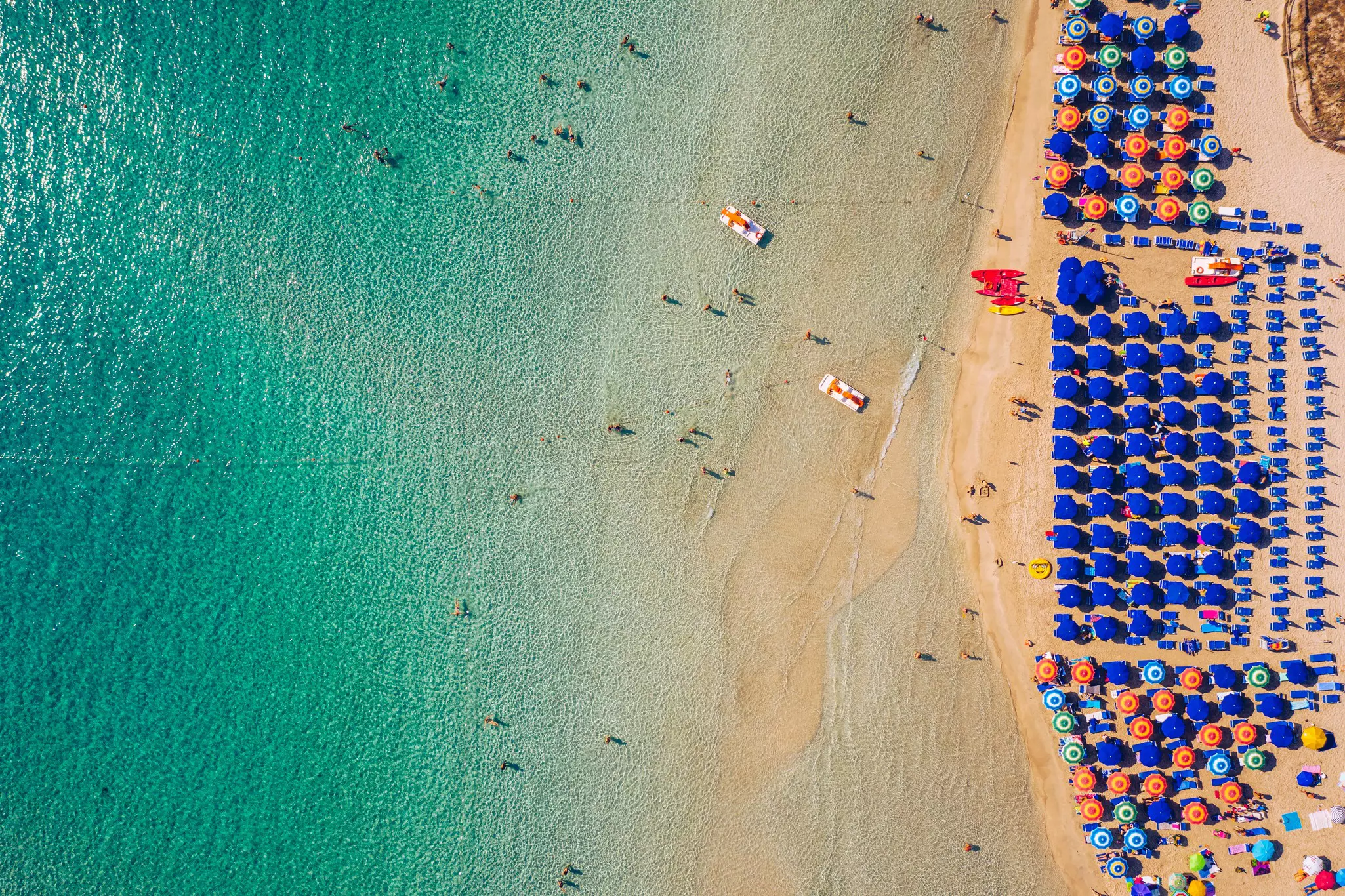 Beachgoers splashing in the shallow ocean or relaxing under sunshades on a busy beach lined with bright blue umbrellas.