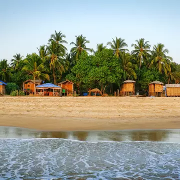 A series of small beach huts tucked under palm trees along the shores of Galgibag Beach in Goa, India. 