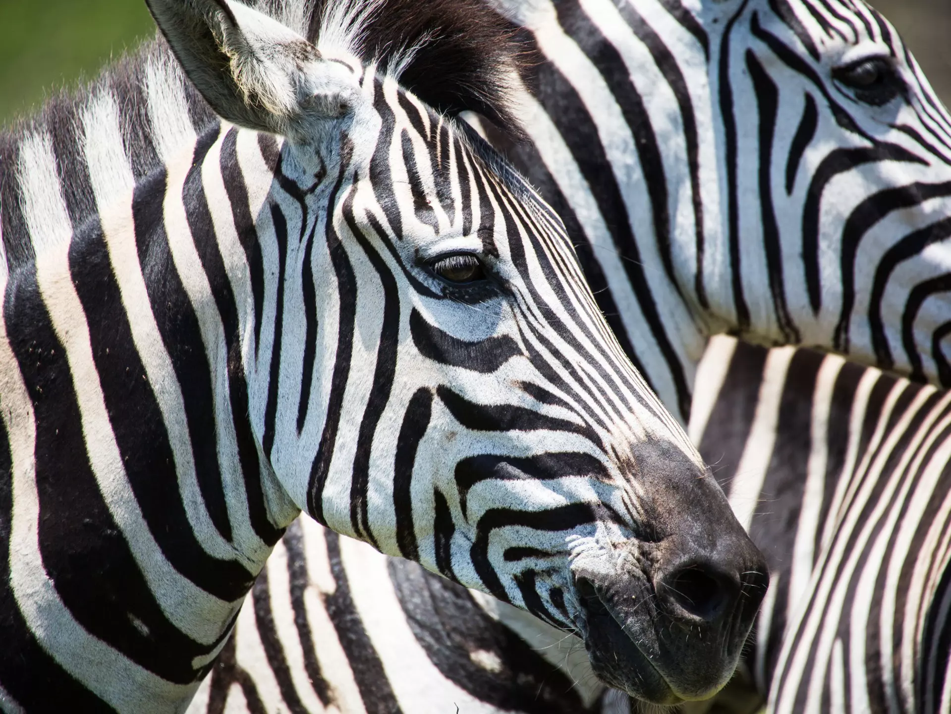 Visa situations are subject to change, so check in frequently with official sources © Robert Beringer / 500px