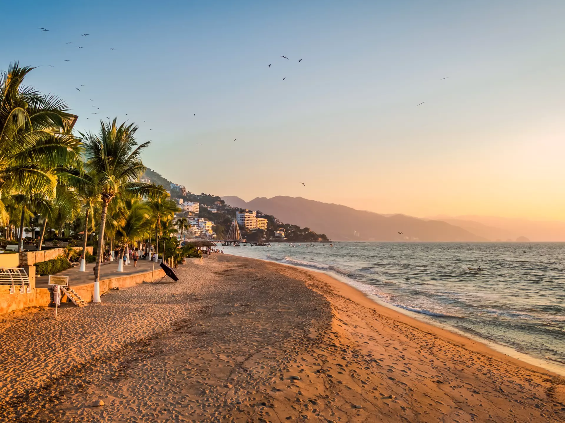 Puerto Vallarta sunset and palms - Puerto Vallarta, Jalisco, Mexico
623302012
Beautiful, Travel, Tourism, Beauty In Nature, Coastline, Malecon, Beauty, Scenics, Waterfront, Journey, Relaxation, Blue, Cultures, Tropical Climate, Architecture, Travel Destinations, Vacations, Nature, Urban Scene, Outdoors, Tourist, Jalisco State, Mexico, Palm Tree, Sunset, Summer, Sand, Beach, Bay Of Water, Landscape, Sun, Sky, Pacific Ocean, Sea, Water's Edge, Water, Built Structure, Harbor, Cityscape, City, Town, Tourist Resort, vallarta, Nayarit, Sunny