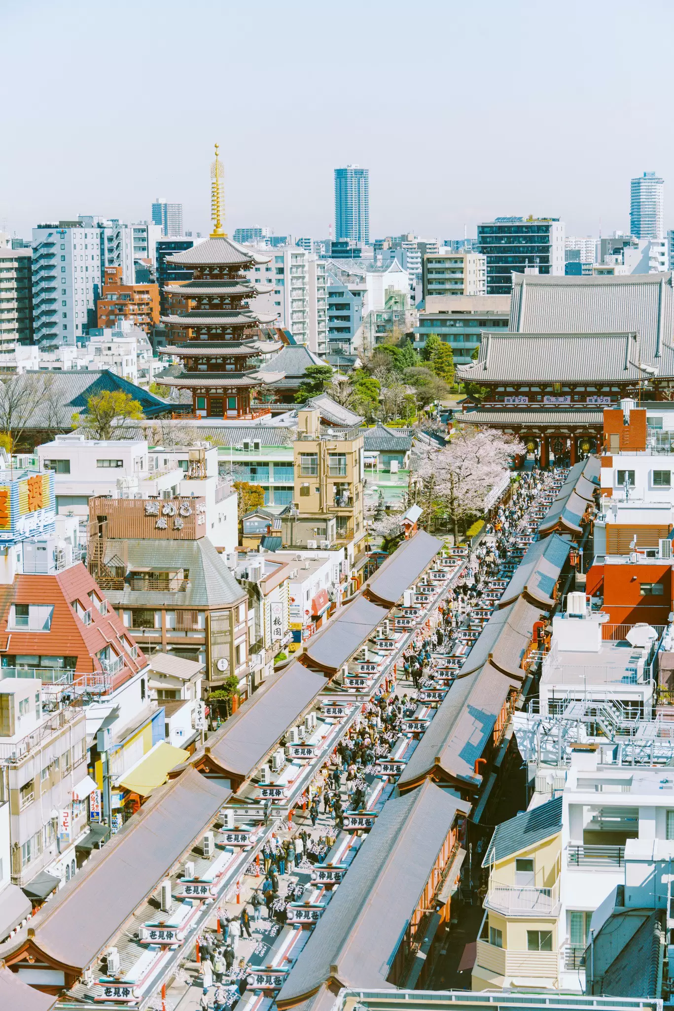 Aerial view of a crowd of people walking and buildings in Asakusa