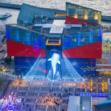 November 19, 2016: Aerial of the Osaka Aquarium Kaiyukan at Tempozan Harbor Village.
786124444
japan, kaiyukan, osaka, tempozan, aquarium, cityscape, famous, ferris, giant, harbor, holiday, landmark, light, located, near, outdoor, park, popular, port, tourism, travel, village, waterfront, wheel