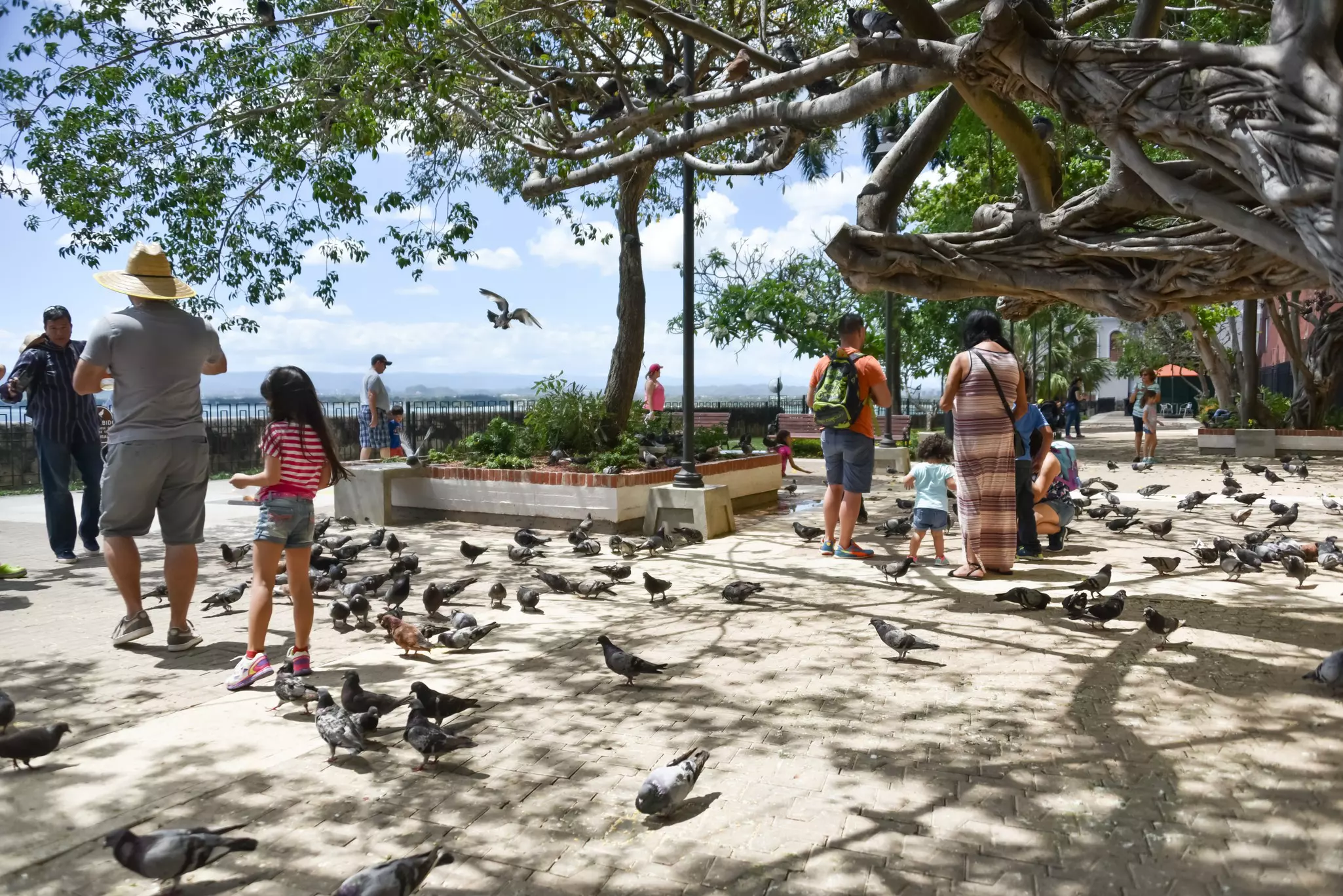Parque las Palomas is filled with pigeons you can feed © Shutterstock / Mihai O Coman