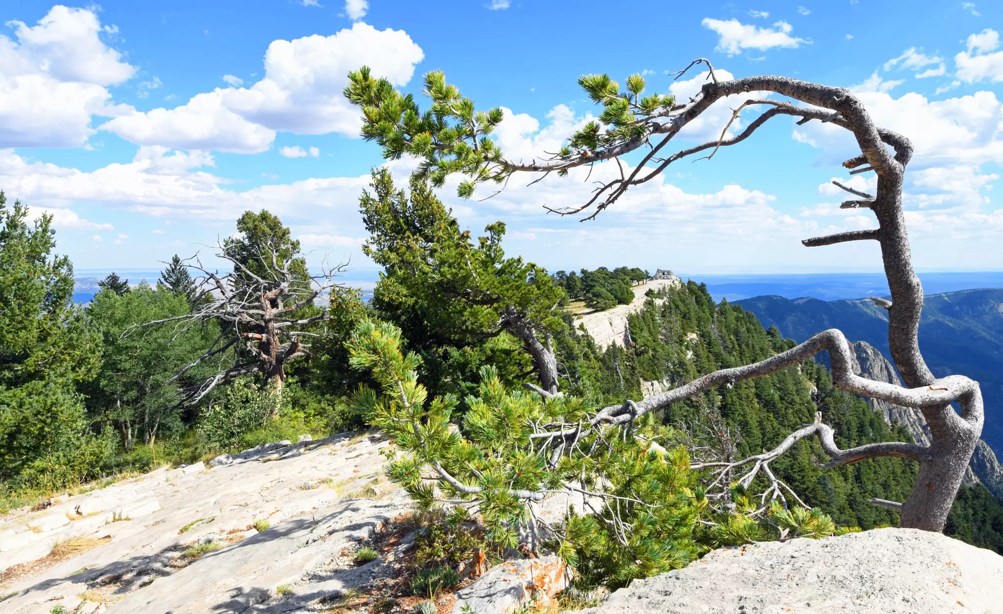 Kiwanis Cabin atop Sandia Crest in New Mexico, License Type: media, Download Time: 2025-06-12T16:05:51.000Z, User: LP_BAntunes, Editorial: false, purchase_order: 56500 - T&R or Kids, job: T&R, client: Epic Hikes of the Americas, other: Beatriz Antunes