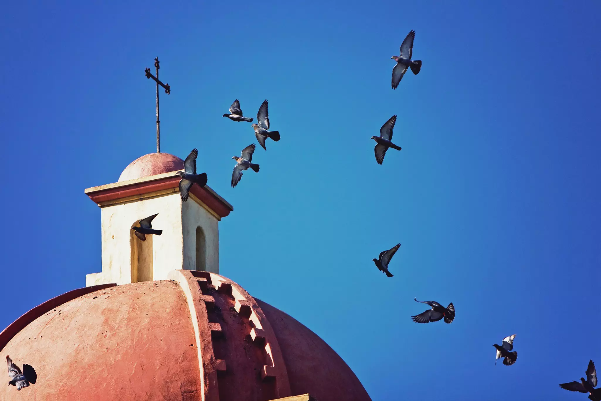 Birds flying around one of the bell towers at Old Mission Santa Barbara.
