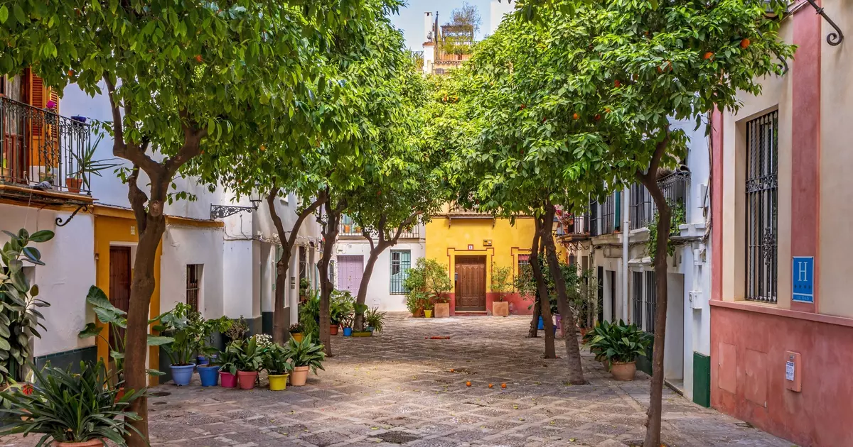 15 wonderful things to do in Seville, Spain - Lonely Planet