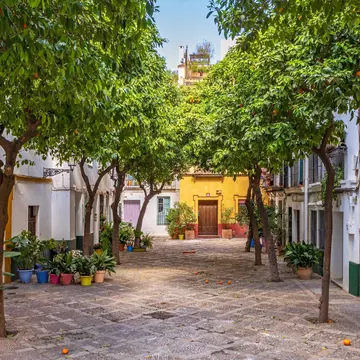 A quiet cobbled street in a city is lined by orange trees and colorful facades of houses.