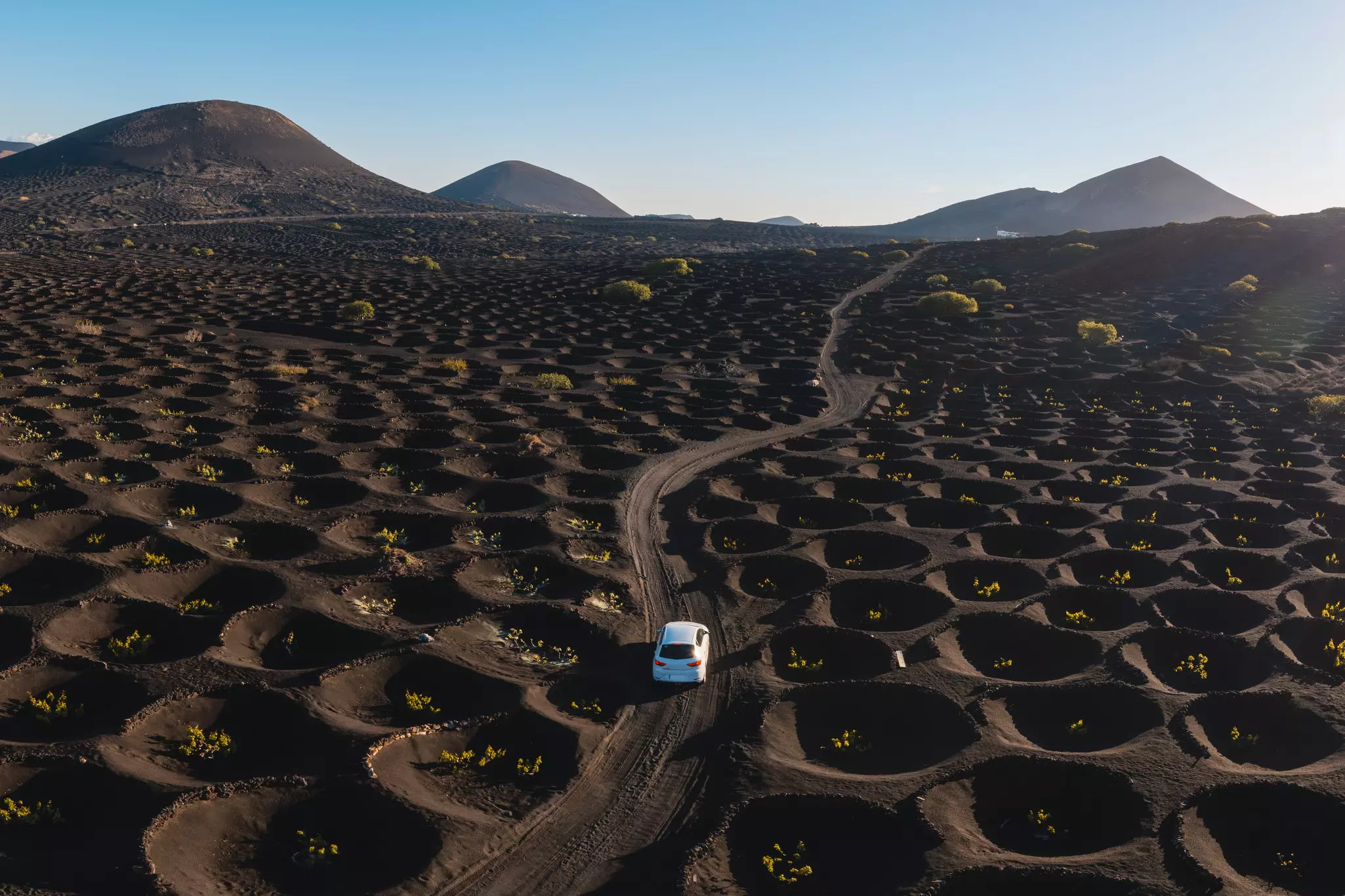 A car drives among the uniquely planted vines in La Geria, Lanzarote, Spain
