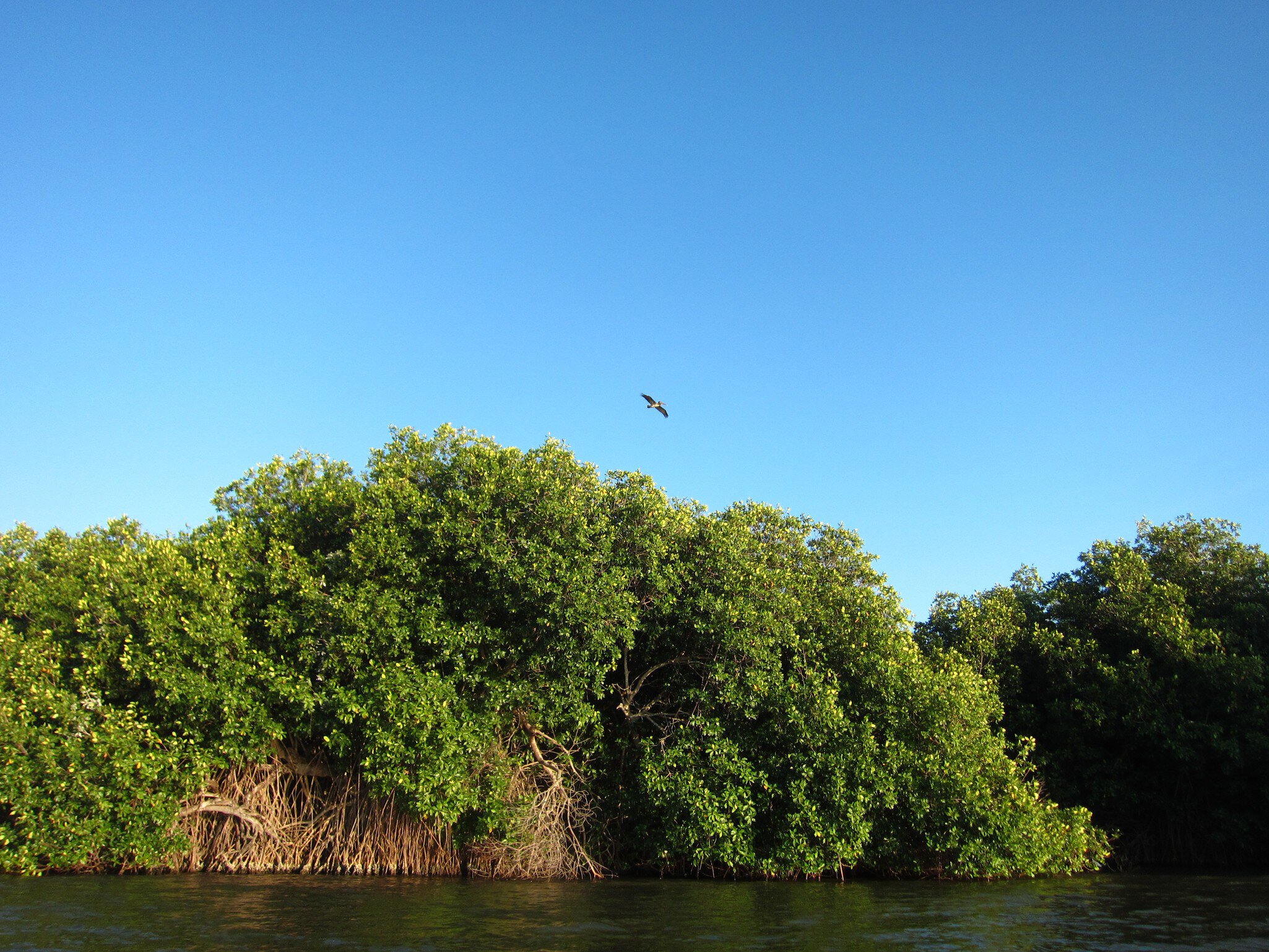 Chacahua. Natural reserve in Oaxaca, Mexico.