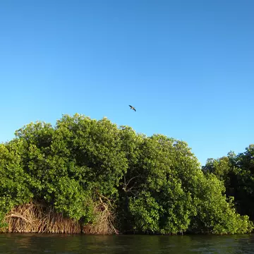 Chacahua. Natural reserve in Oaxaca, Mexico.