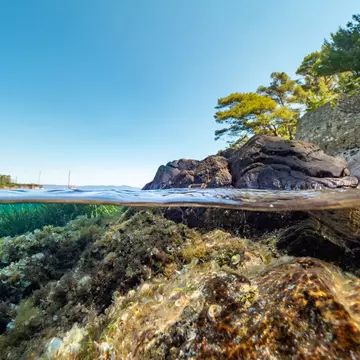 Split shot of Underwater Scenery in Port-Cros Nationalpark in the Mediterranean Sea, South France, ; Shutterstock ID 1835750425;