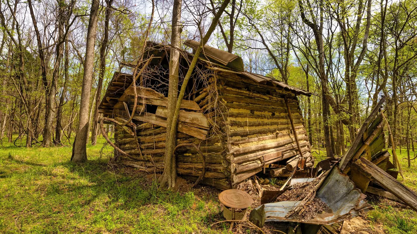 The exterior of Hello Wood's Kabinka cabin