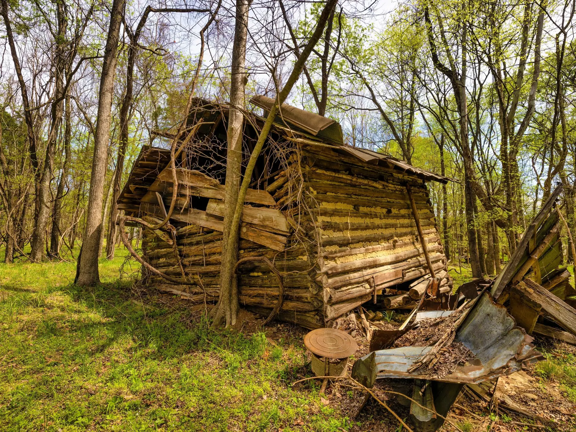 The exterior of Hello Wood's Kabinka cabin